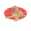 Cockapoo Grandpa | Hunde Hundebesitzer Geschenk