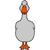 Sweet goose from the front