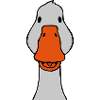 Sweet goose from the front