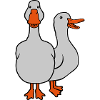 2 cute geese team