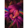 Rainbow Flower