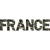FRANCE CAMOUFLAGE
