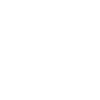 Braut Security