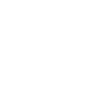 Evolution BMX