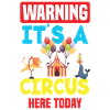 Circus Carnival Children's Birthday Party