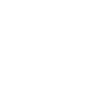 Dégâts 242