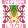 Cicadas, cicadas, funny saying cicada