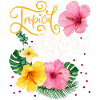 Tropical Flowers, Tropical Darling, Calligraphy