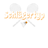 crossminton schlägertyp