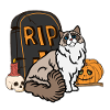 Cute Ragdoll Halloween Cat
