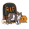 Cute Manx Halloween Cat