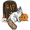 Cute Turkish Van Halloween Cat