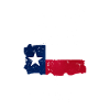 Texas