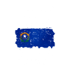 Nevada