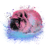 guinea pig,graffiti,painting,pink,pink,pop-art