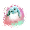 rabbit,graffiti,painting,pet,rabbit,blue