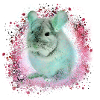 chinchilla,graffiti,painter,blue,pet,pink