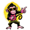 Funky Monkey