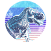 T-Rex Dinosaurs