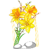 Fleur jaune - Cadeau Jonquille