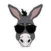 Cool donkey with sunglasses
