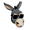 Cool donkey with sunglasses