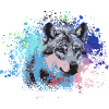 wolf,hund, husky,Hund,bunt,illustration