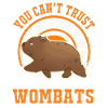 Wombat australien