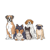 Introverted Dogs Introverted Gift