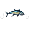 Gloucester Tuna Fishing