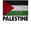 Palestinian Flag