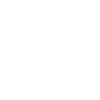 RUDI
