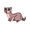 Baby Body 2021