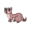 Baby Body 2023