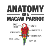 Ara Anatomie Ornithéro perroquet