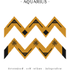 ZODIAC SIGN Aquarius