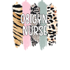 Obstetrics Gynecology Nurse OB GYN