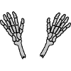2 Skeleton Hands Bones