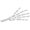 Halloween Severed Hand Skeleton