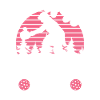 Crazy Pickleball Lady Pickleball