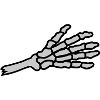 Hands reach severed hand