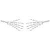 Bone Skeleton Halloween Hands