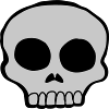Skull skeleton cool design