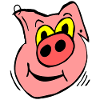 Funny Pig in Pink