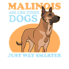 Malinois Belgian Shepherd Dog Gift