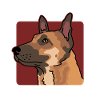 Berger belge | Malinois Dog Cadeau