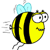 Thick bumblebee