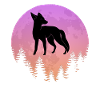 Natur Vollmond Fuchs Jäger