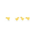 PAPA avec Poussins