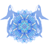 Dolphin Kaleidoscope 04